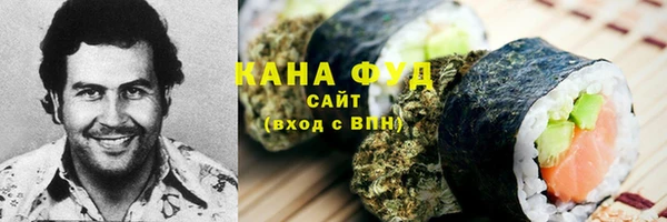 гашик Снежногорск
