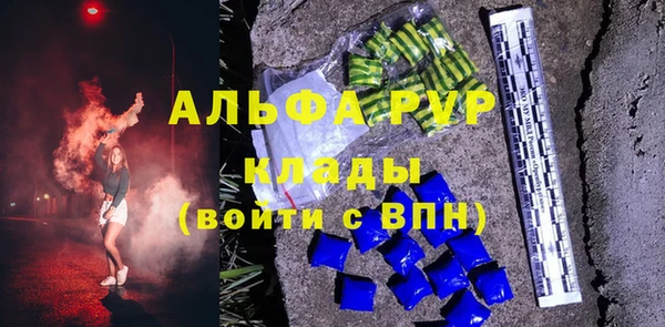 шишки Сосновый Бор