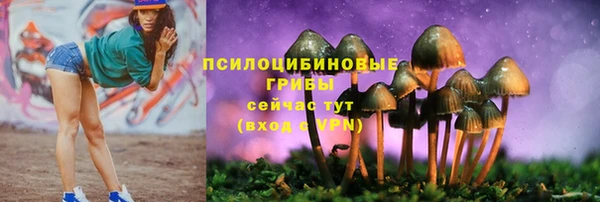 каннабис Зерноград