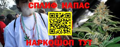 гашик Заволжье